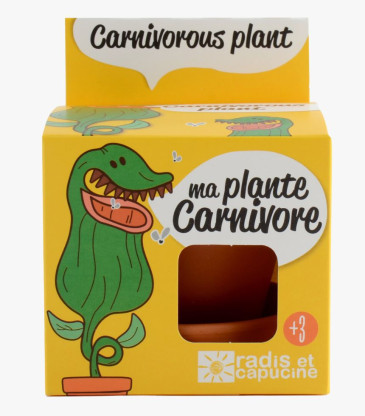 Kit DIY À Planter Plantes...