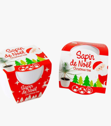 Sapin