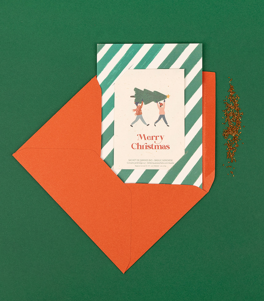 Carte à planter "merry christmas"