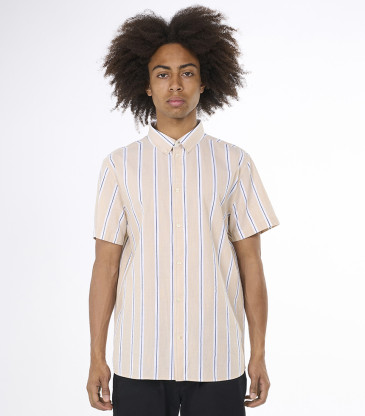 Stripe safari