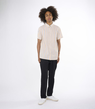 Stripe safari