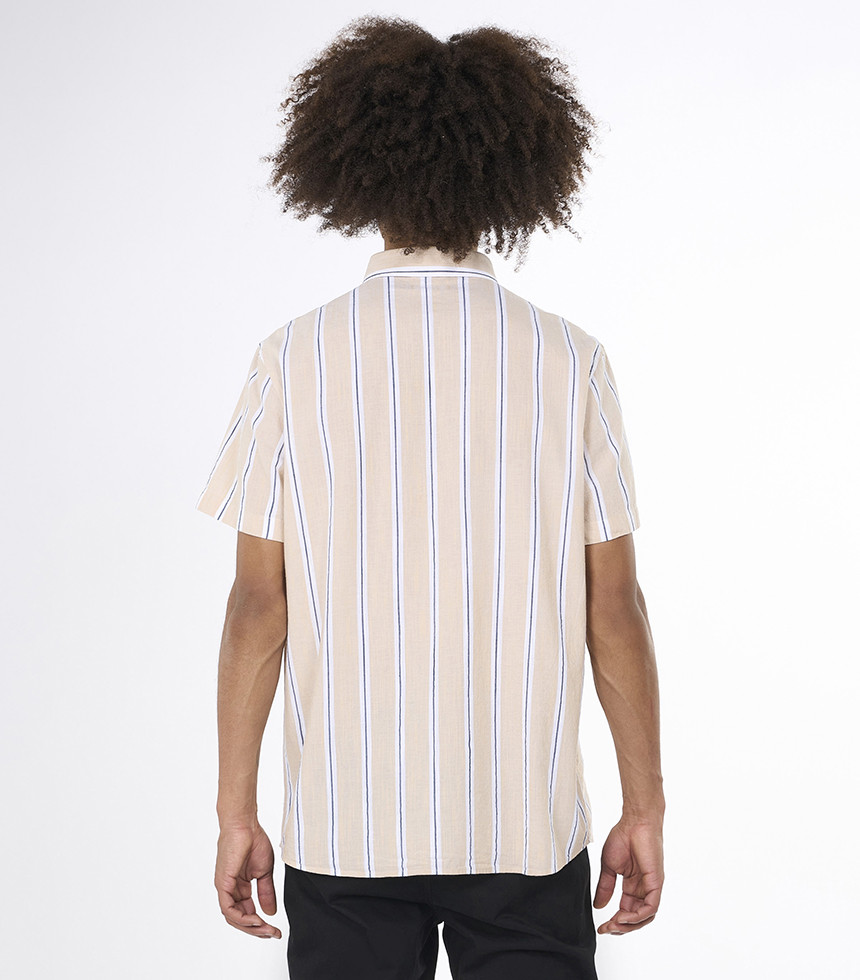 Stripe safari