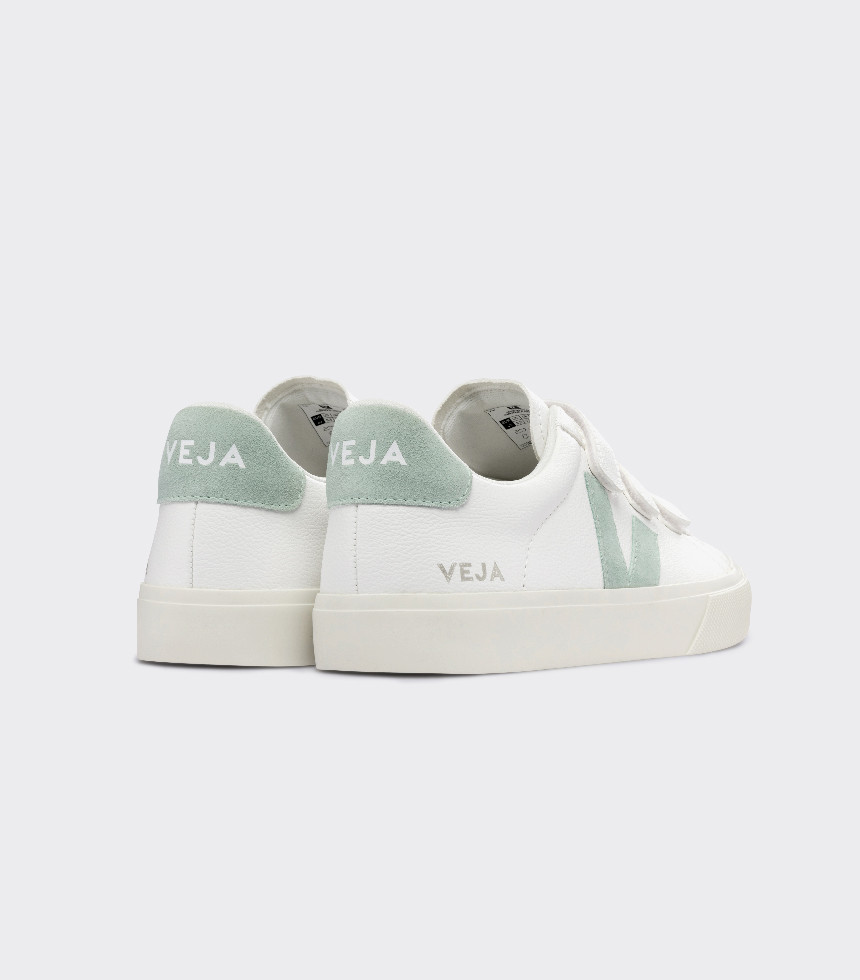 White matcha