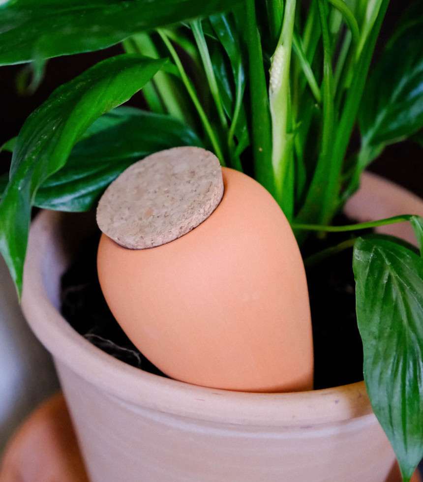 Olla terracotta rouge