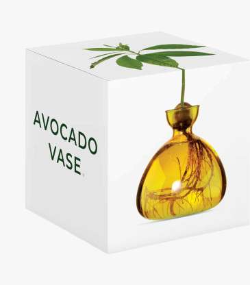 Vase Avocat jaune mellow yellow
