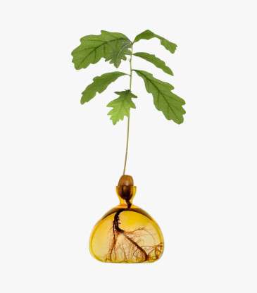 Vase Gland jaune doux