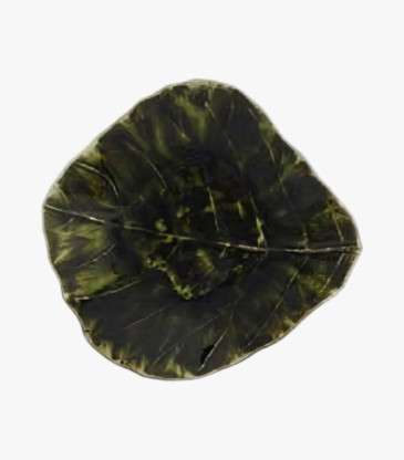 Plat feuille vert forêt