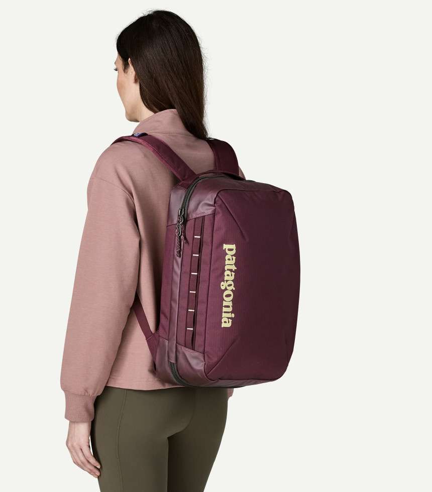 Sac à dos Black Hole Micro MLC berry fig