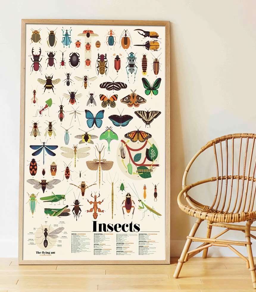 Poster à stickers insectes