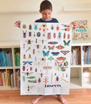 Poster à stickers insectes