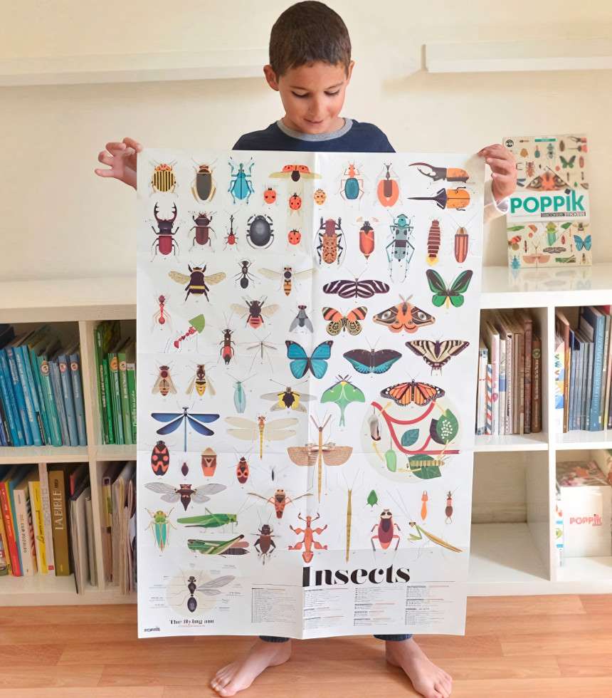 Poster à stickers insectes