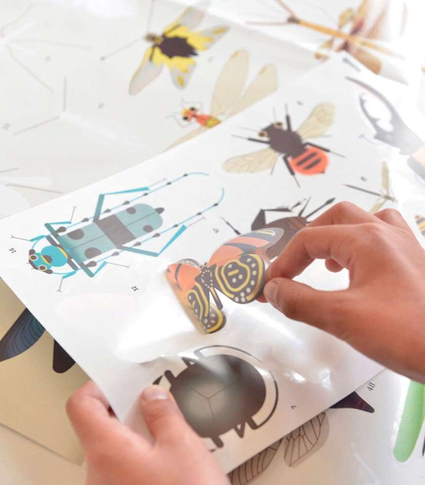 Poster à stickers insectes