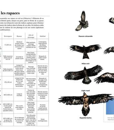 Livre L'appel de la nature