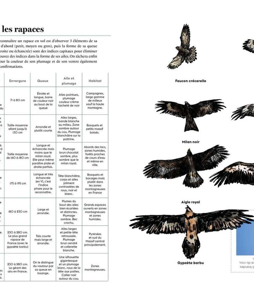 Livre L'appel de la nature