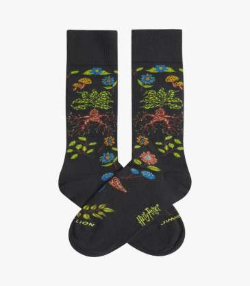 Chaussettes Harry Potter...