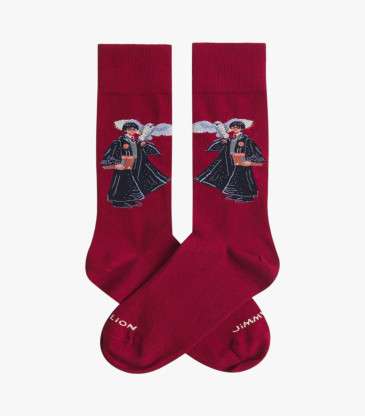 Chaussettes The Boy Who...