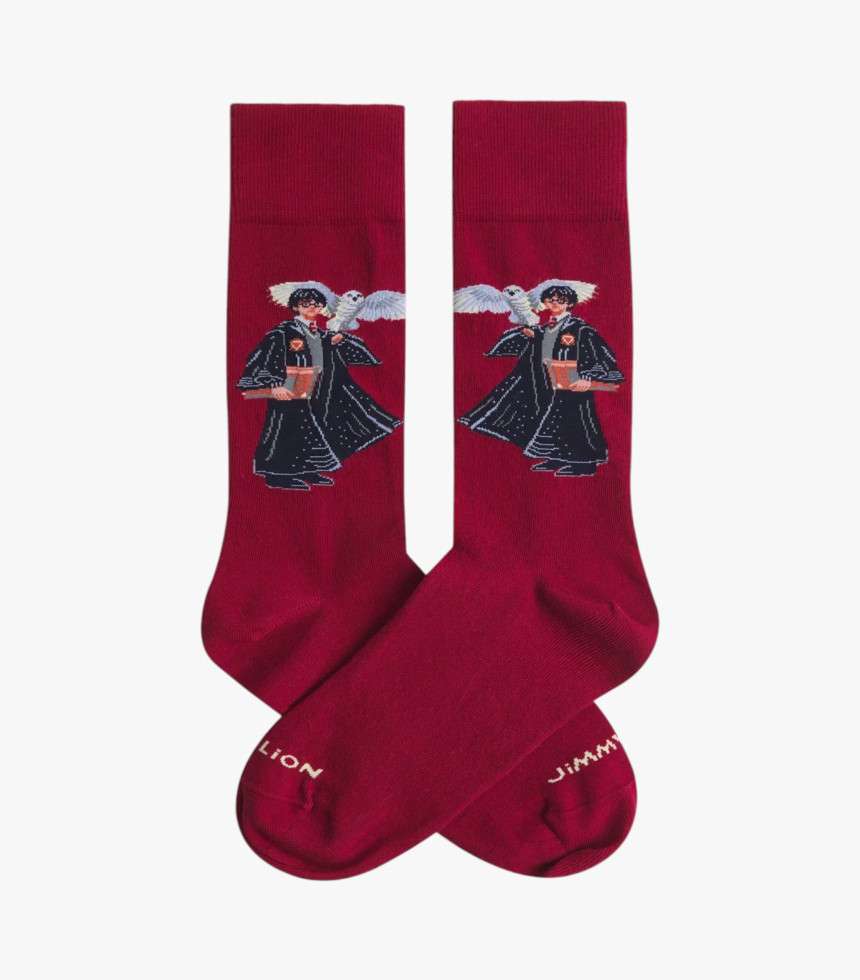 Chaussettes The Boy Who...