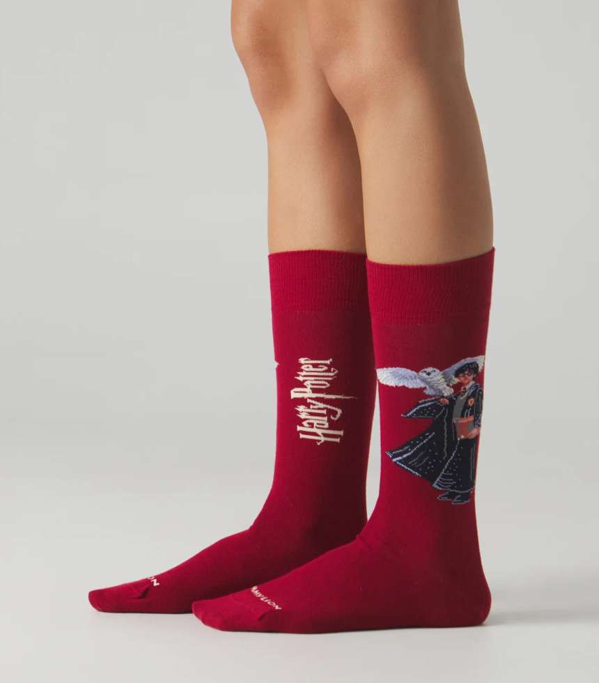 Chaussettes The Boy Who Lived burgundy