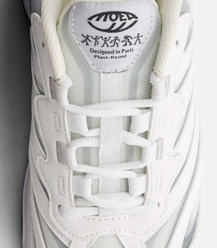 Baskets Dragonfly blanc