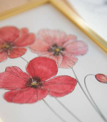 Kit aquarelle coquelicots