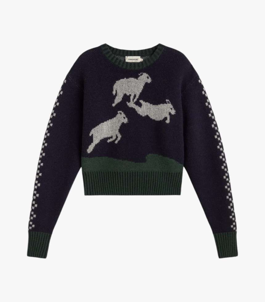 Pull Basil multicolore