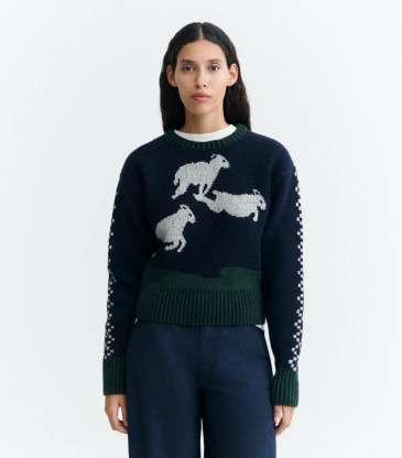 Pull Basil multicolore