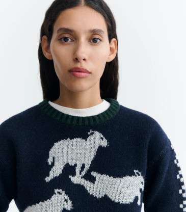 Pull Basil multicolore
