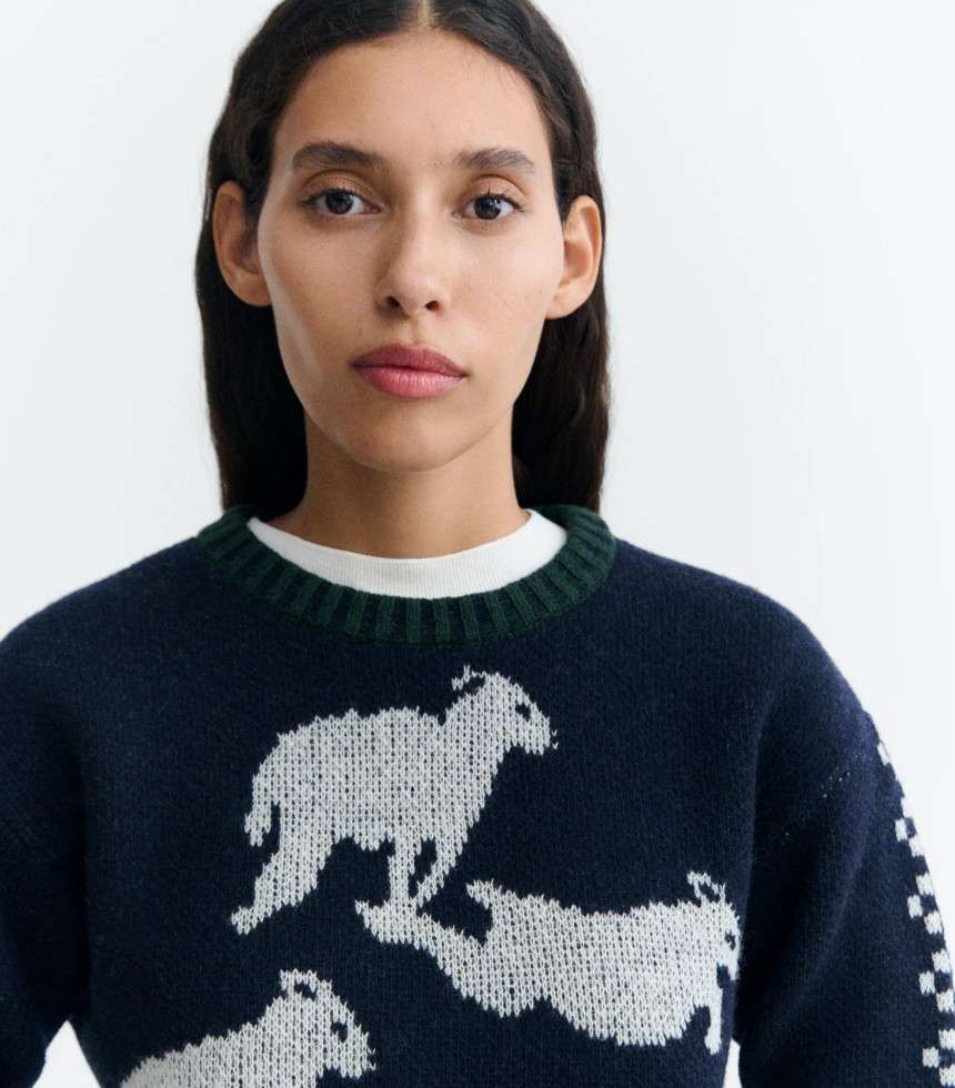 Pull Basil multicolore