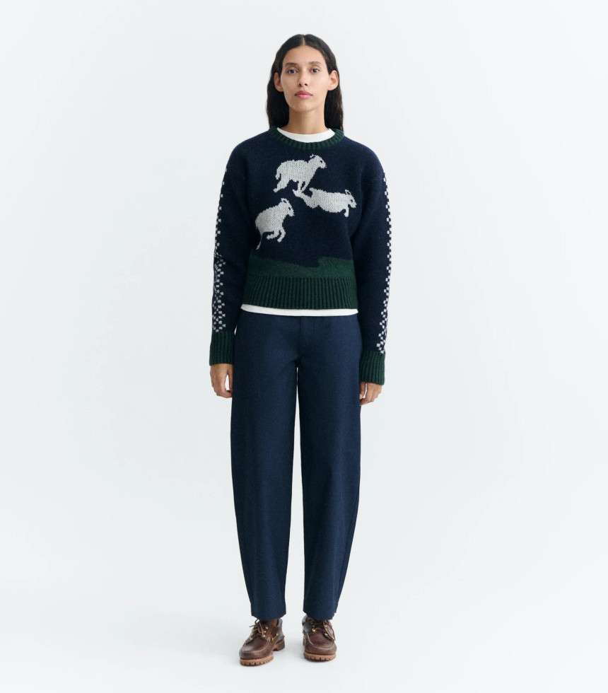 Pull Basil multicolore