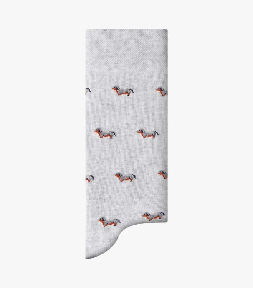 Chaussettes The Pooch gris
