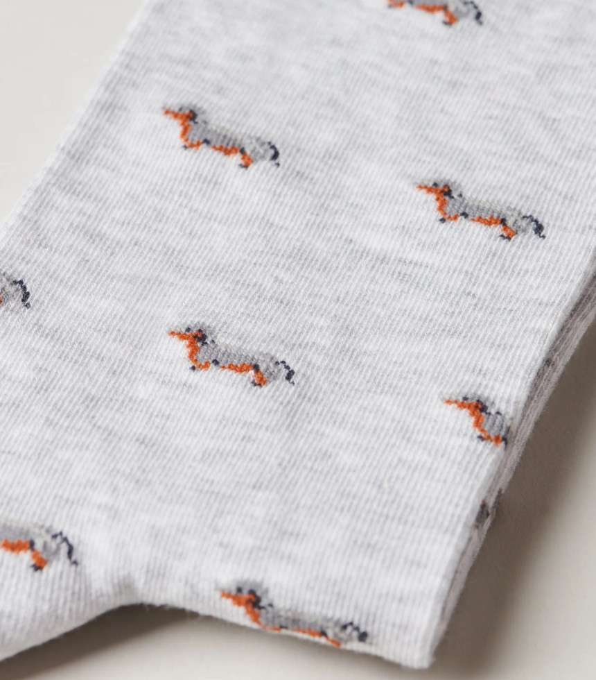 Chaussettes The Pooch gris
