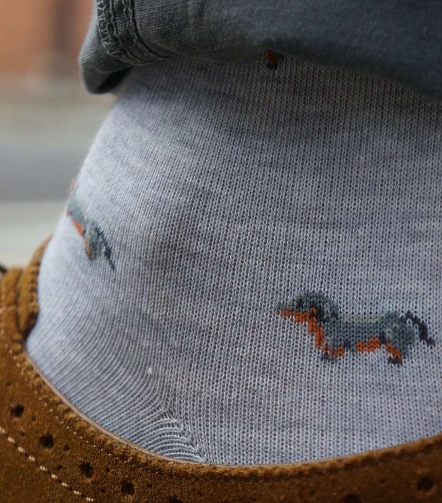 Chaussettes The Pooch gris
