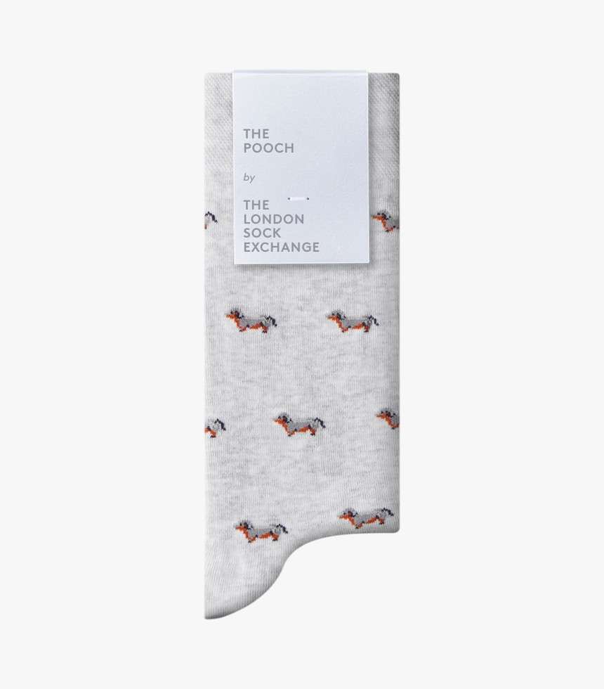 Chaussettes The Pooch gris