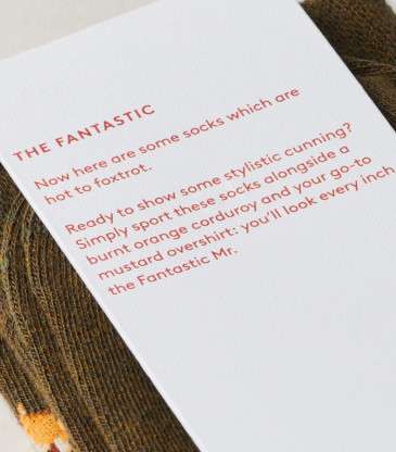 Chaussettes The Fantastic motif renard marron