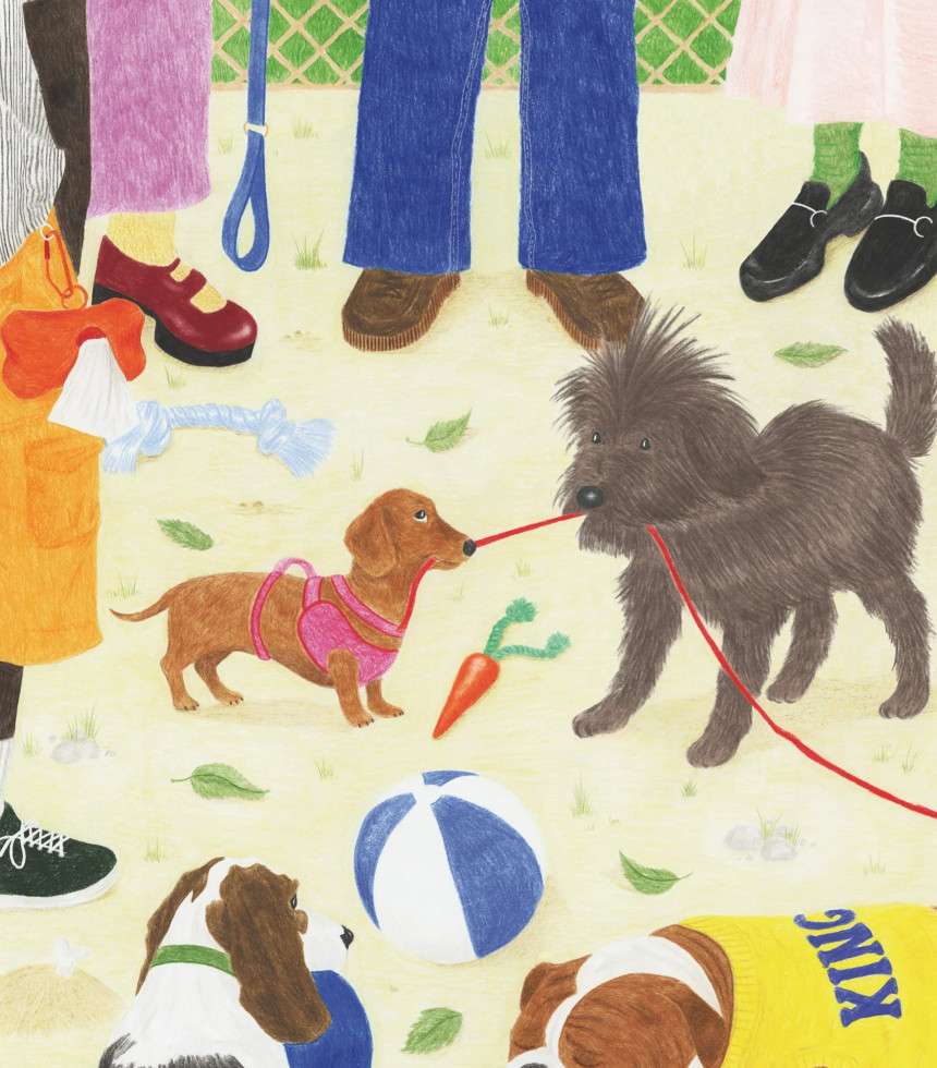 Puzzle 1000 pièces Sortir le chien