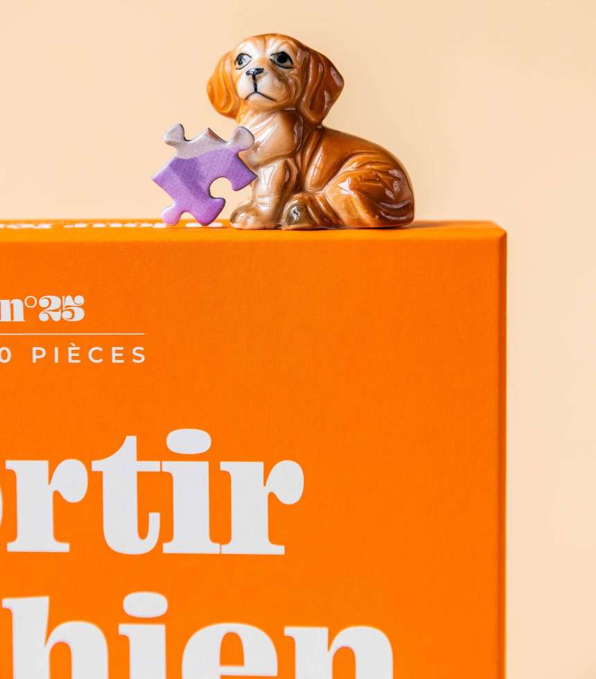Puzzle 1000 pièces Sortir le chien