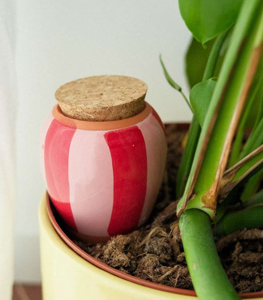 Olla rayée rose et rouge