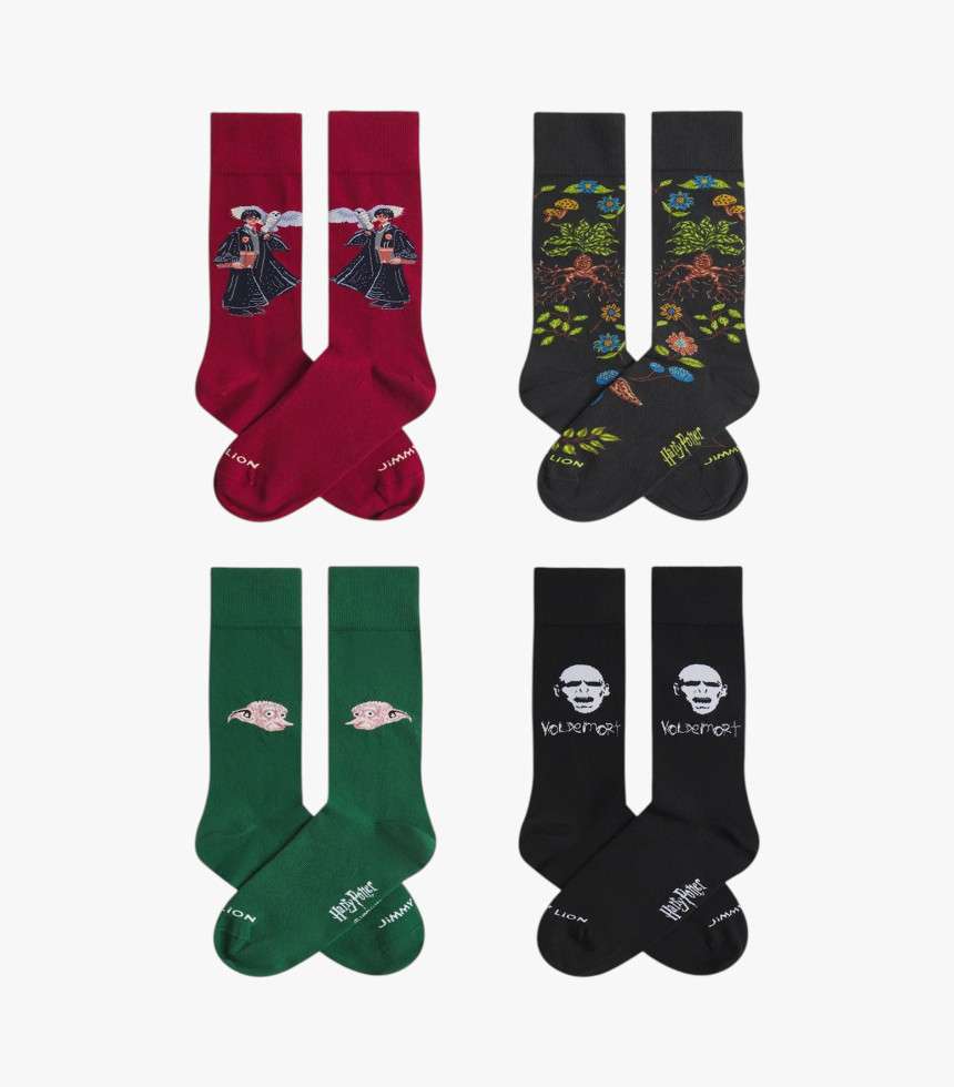 Box chaussettes Harry Potter multicolore