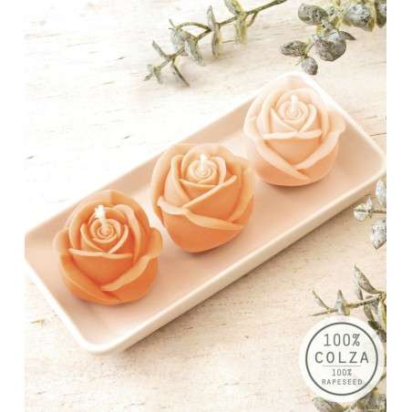 GCR 152051-TRIO FLEURS